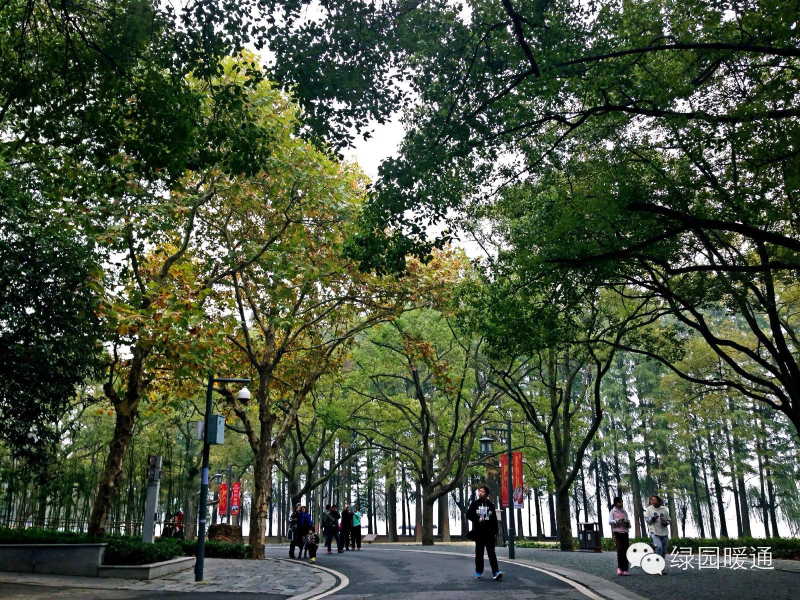 綠園暖通,綠色出行 綠園暖通,綠色出行